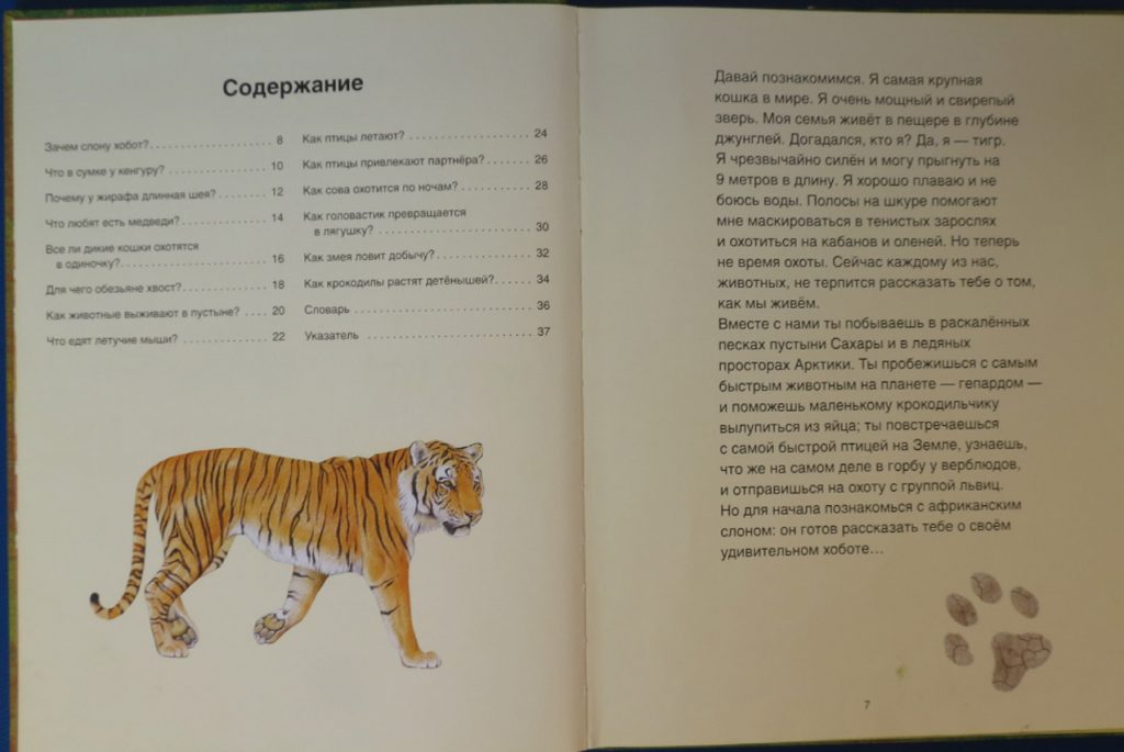 Рецензия на книги серии «Детское справочное бюро»