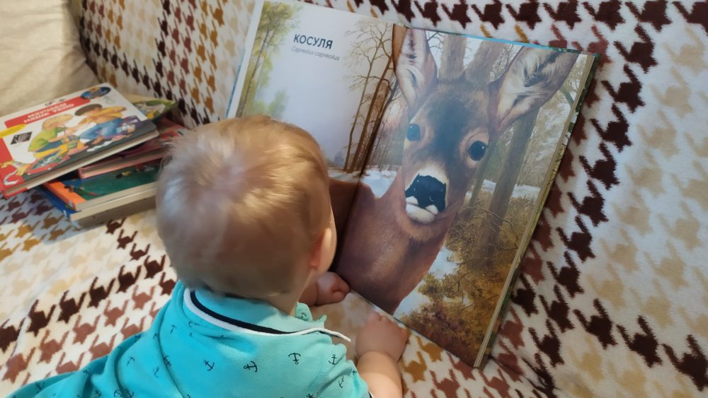малыш рассматривает книгу