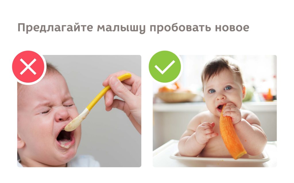 как правильно кормить ребёнка