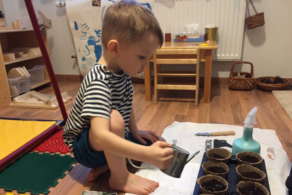 Сажаем растения с ребёнком: описание процесса и лайфхаки