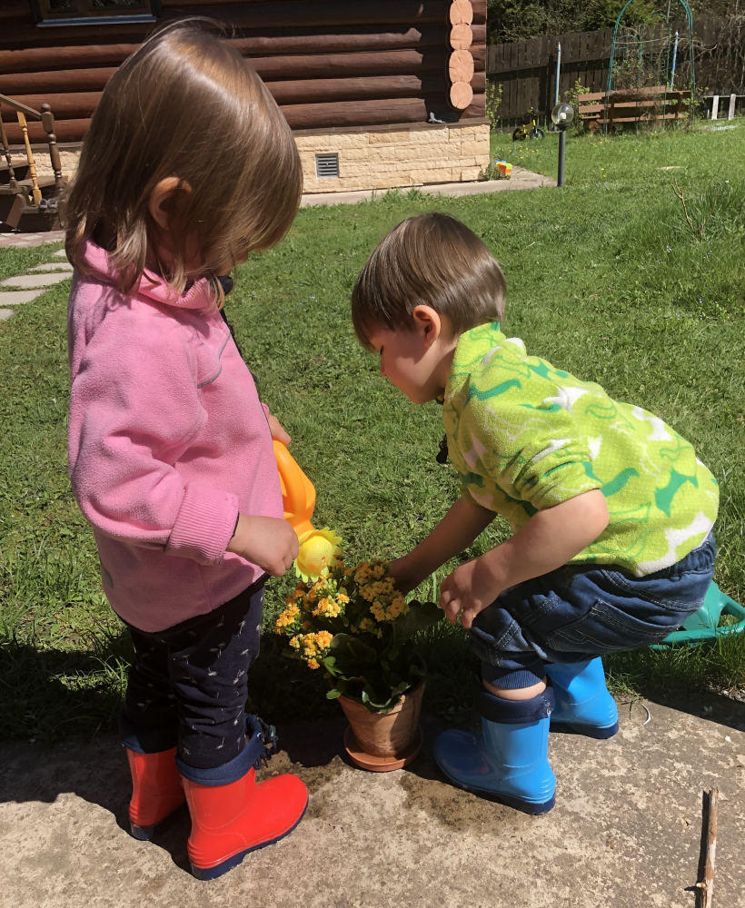 Дети поливают цветы на даче