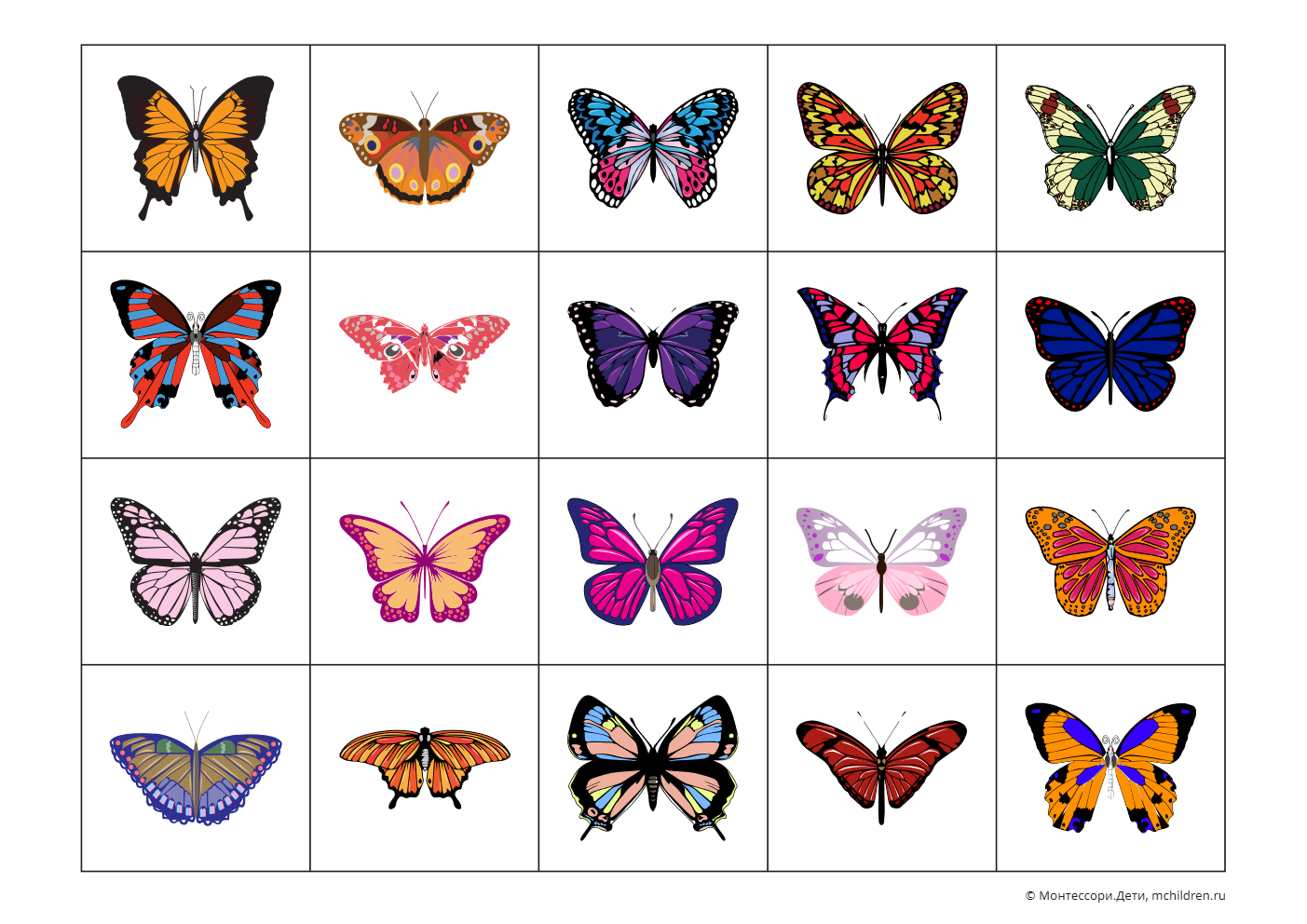 Дидактическая карточки для мозаики бабочка