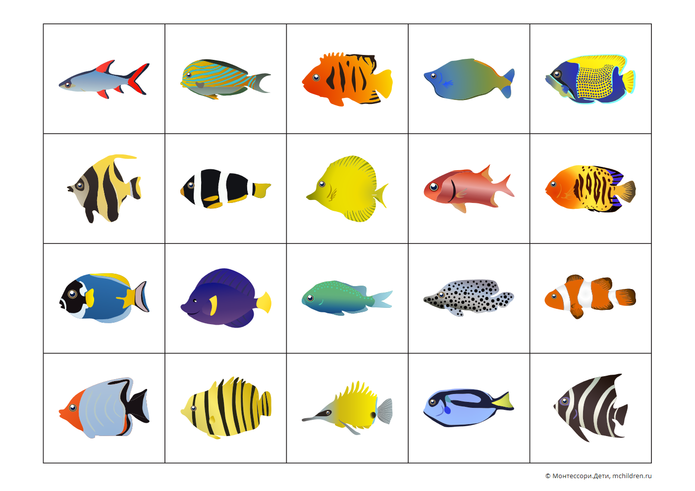 Карточки рыбы