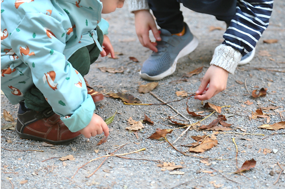 дети собирают листья